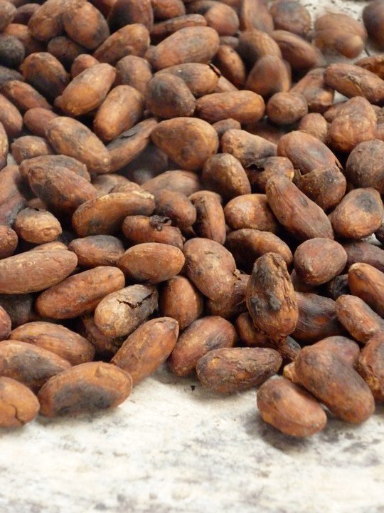 Cacao beans drying on stone