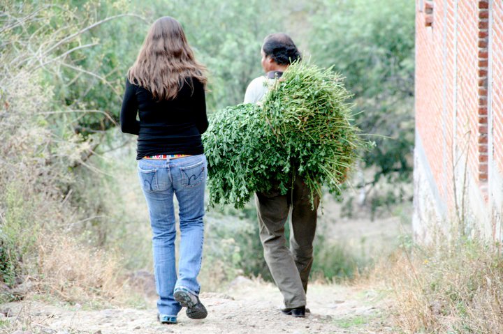 Sue and a farmer walking with a bundle of fresh herbs